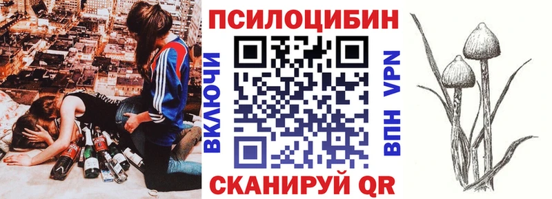 Купить  Глазов  Галлюциногенные грибы мицелий 